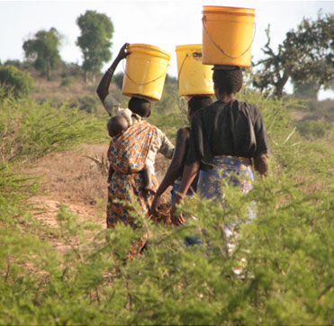 One slight woman can carry more water (while carrying a baby on her back) than two strong American men.
